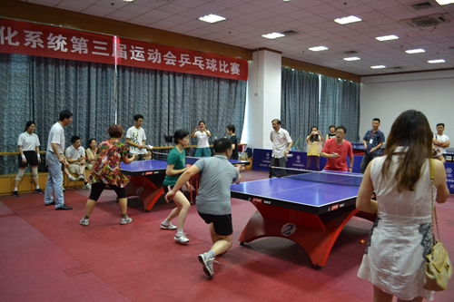 13073006.jpg