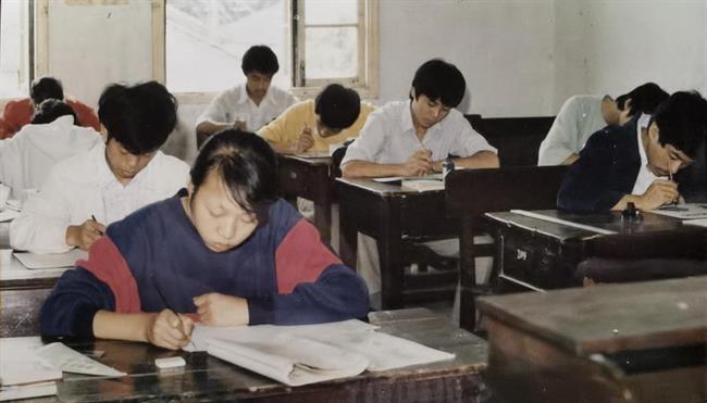 卢哲3.png