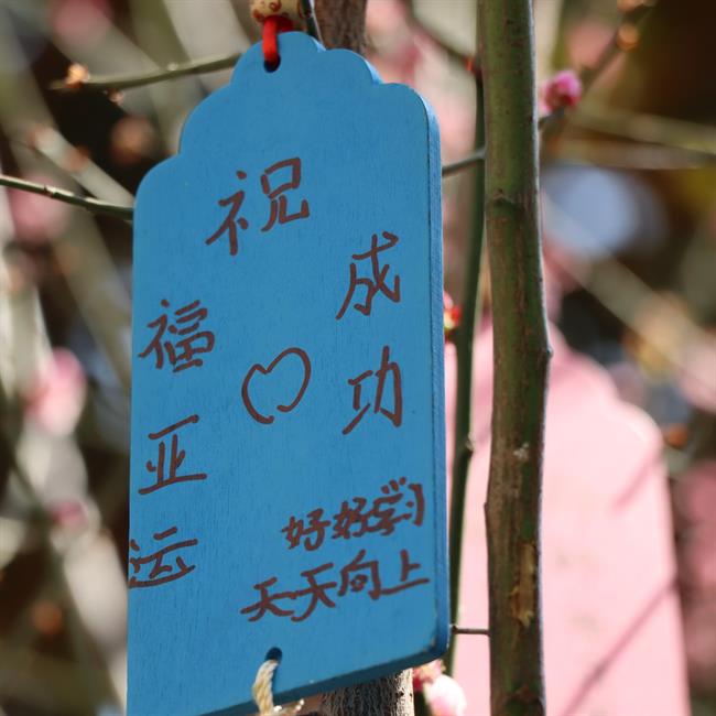 微信图片_202303102049151.jpg